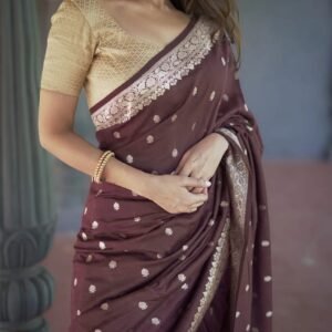 Premium Banarasi Jacquard Saree with Blouse – Brown & Chiku – F-GINGER